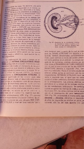 Pack de libros Anatomía Veterinaria