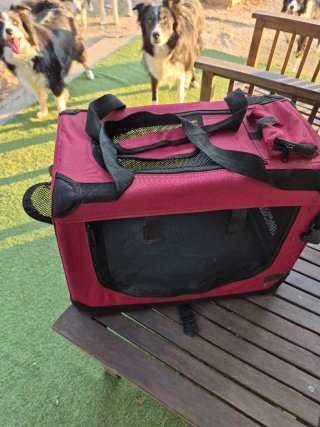Trasportin perro