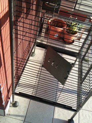 Jaula para loro grande