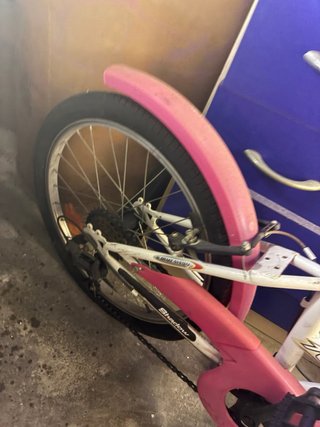 Bicicletta bimba