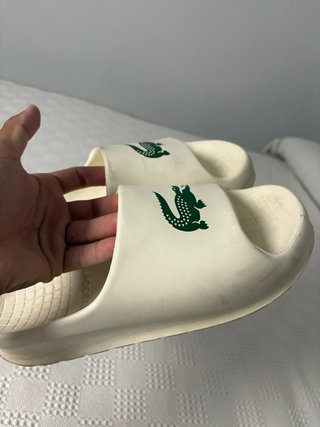 Chanclas Lacoste