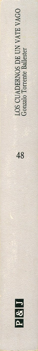 Los cuadernos de un vate vago