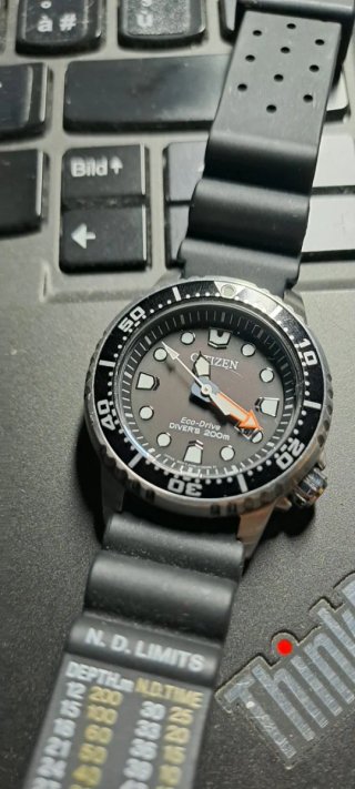 Orologio Citizen Diver Eco-Drive Acciaio