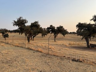 Finca rustica dehesa con casa piscina con 17 Ha