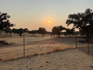 Finca rustica dehesa con casa piscina con 17 Ha