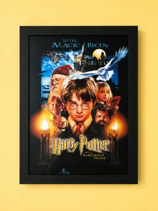 Cuadro Harry Potter y la Piedra Filosofal