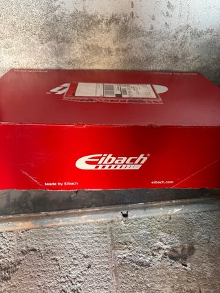 Muelles  Eibach para Ford Focus mk4 stline