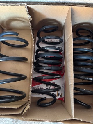 Muelles  Eibach para Ford Focus mk4 stline