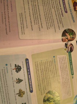 Ciencias de la Naturaleza, 4 Primaria, Proyecto...