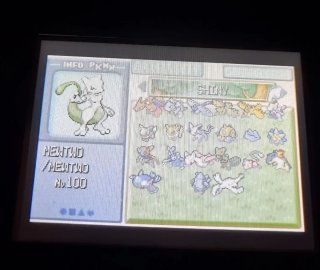 Pokémon Edición Rubí (Leer Descripción)
