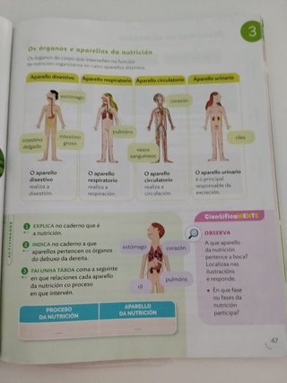 Ciencias da natureza, 4 Primaria, Proxecto Co...
