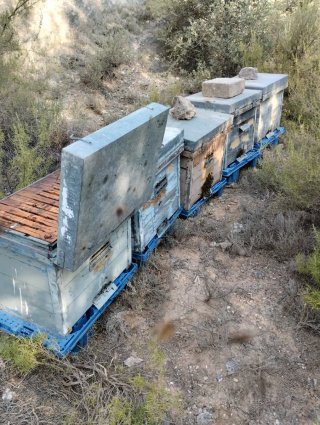10 Colmenas de madera