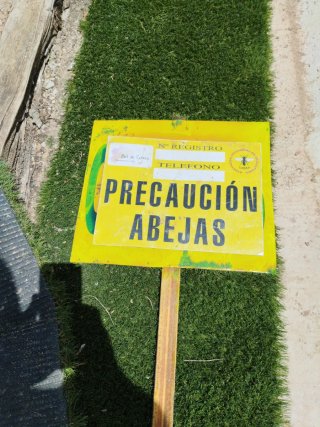 10 Colmenas de madera