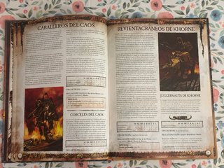 Codex Guerreros del Caos 8ª Edición Warhammer