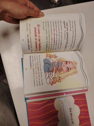 Libro juvenil