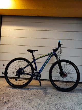 Specialized 29