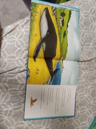 El caracol y la ballena