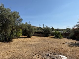 Parcela con casa  Morata de tajuña