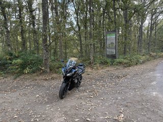 Yamaha FZ6 S2 Carenada Negra