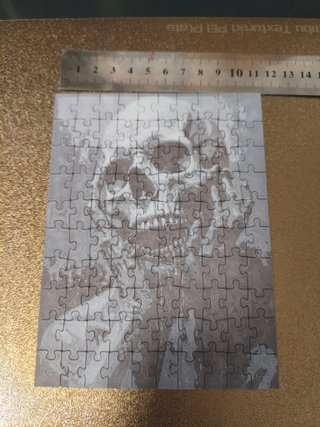 Puzzle Calavera 100 Piezas Plástico