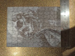 Puzzle Calavera 100 Piezas Plástico