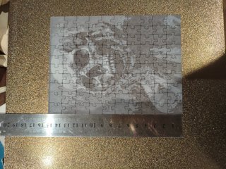 Puzzle Calavera 100 Piezas Plástico