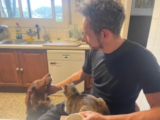 CUIDADOR - PASEADOR DE PERROS 10€/HS