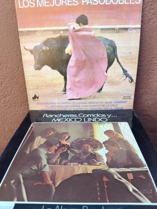 Vinilo Bee Gees Spirits Having Flown