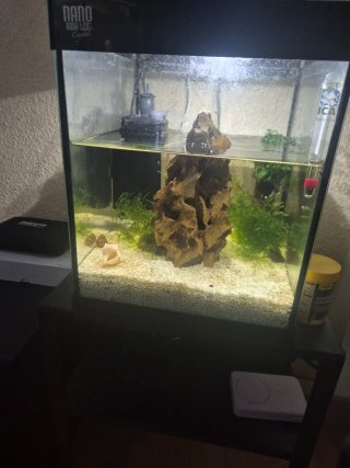Acuario Nano Aqua LED Crystal