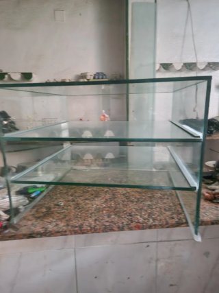 Escaparate de cristal para bar