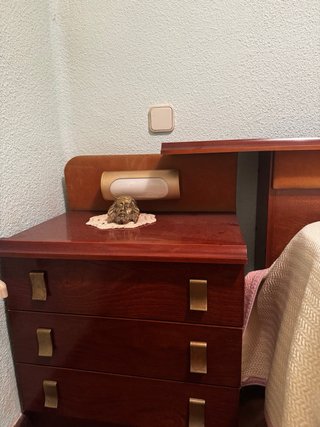 Cabecero con cama y colchón ,vintage madera y tela