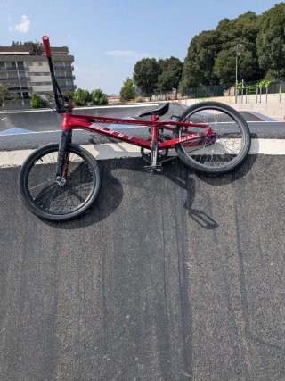 Bmx Sunn Race XXL Roja