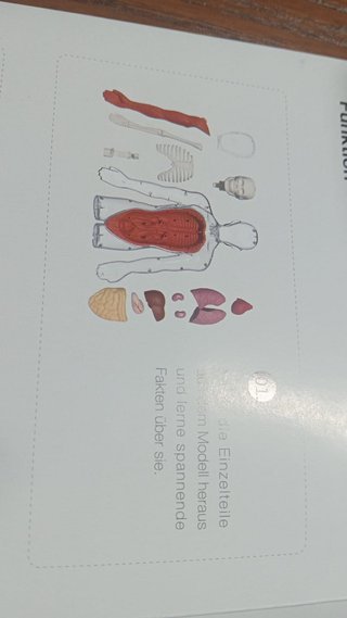 Science Can Corpo Humano Interativo (Alemão)
