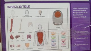 Science Can Corpo Humano Interativo (Alemão)