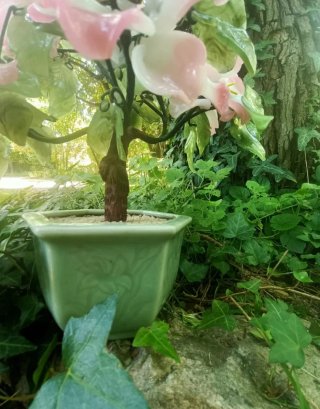 Pianta decorativa vintage fiori rosa
