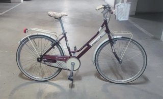 Bicicleta Runfit Retro Mujer