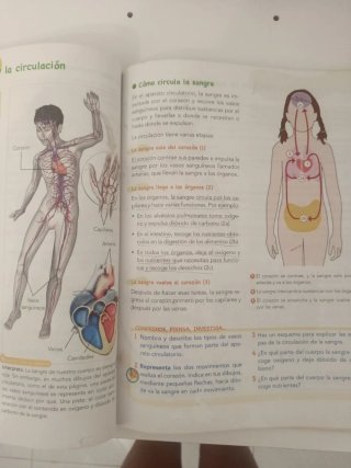 Ciencias de la Naturaleza 4.