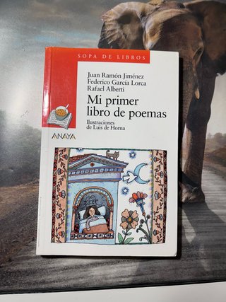 Mi primer libro de poemas