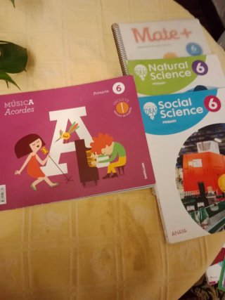 Libros de sexto de primaria