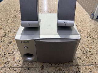 Altavoces Yamaha TRS MS02 Gris/Plata  para TYROS