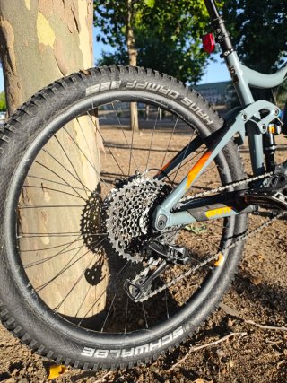 Giant Reign 1.5 2019 talla M
