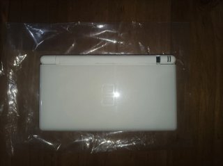 Pacchetto di avvio Nintendo DS Lite con Nintendogs