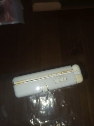 Pacchetto di avvio Nintendo DS Lite con Nintendogs
