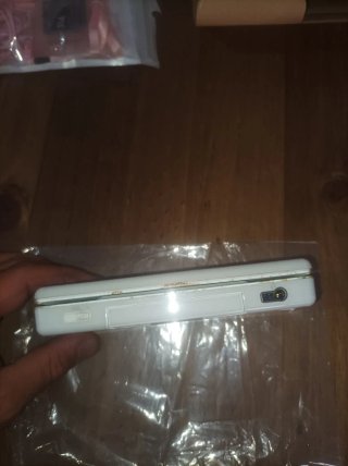 Pacchetto di avvio Nintendo DS Lite con Nintendogs