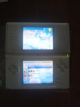 Pacchetto di avvio Nintendo DS Lite con Nintendogs