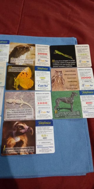 Collezione di carte telefoniche anni '90 di Cabina