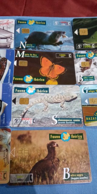 Collezione di carte telefoniche anni '90 di Cabina