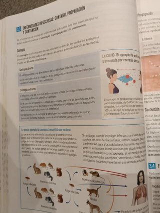 Proyecto: FanFest - Biología, Geología y Cienci...