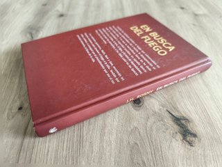 En busca del fuego J. H. Rosny