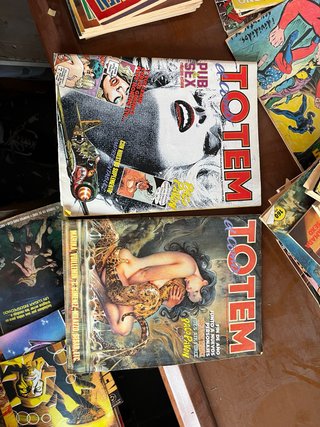 Lote comics Totem